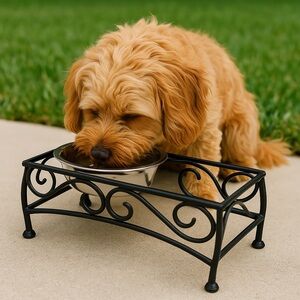 Pet Bowl Stand - Iconic Pet Elevated Double Diner Stand Only – Used (No Bowls)